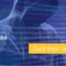 Dark Web – menace invisible pour les notaires